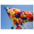 Balloon Drop Net Pre-Strung 17ft x 7ft