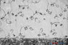 Dahlia Organza Embroidery Polyester Fabric - Embroidered Floral Sheer With Sequins Embellishment, 54" Width (1 Yard)