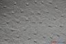 Ostrich Vinyl Faux Leather Vinyl Fabric - Ostrich Texture, 54" Width (1 Yard)