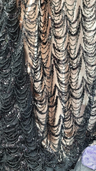 Beaded Lace Fabric by the Yard