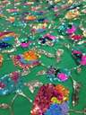 Sequin Floral Lace Embroidery on Green Mesh