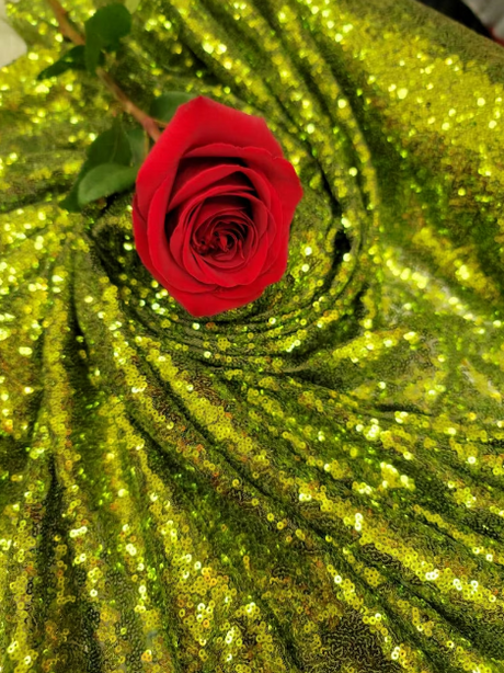 Glitz Sequin Stretch Mesh Fabric Olive Green