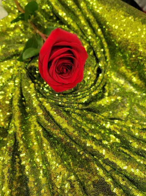 Glitz Sequin Stretch Mesh Fabric Olive Green
