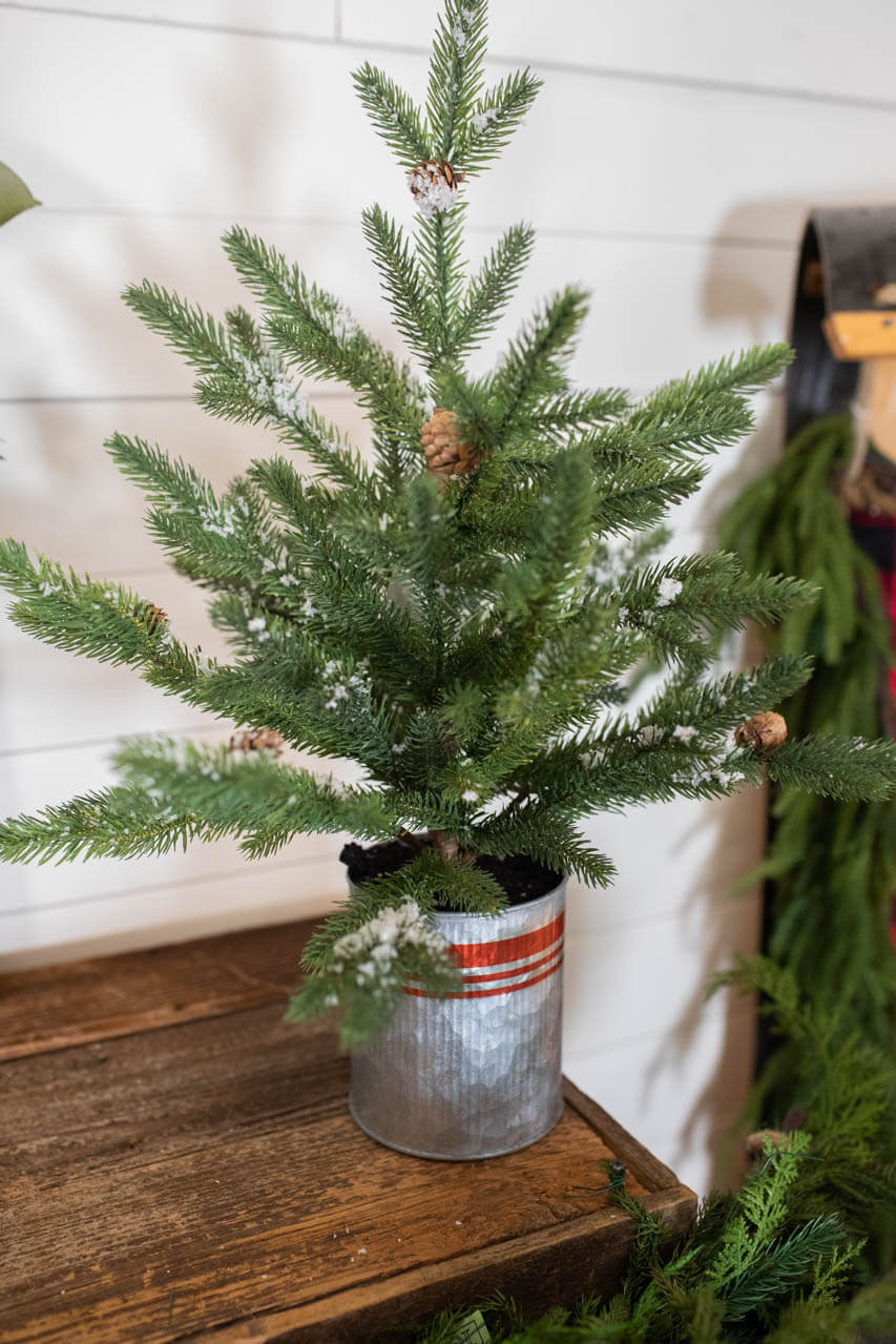 24” Farmhouse Potted Snowy Pine Tree