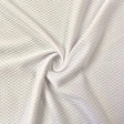 Stretch Mesh Micro Mesh and Eyelet White