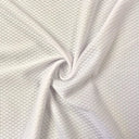 Stretch Mesh Micro Mesh and Eyelet White
