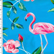 Printed Nylon Spandex Flamingo & Rose Blue Pink Green