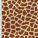 Printed Nylon Spandex Wet Print Animal