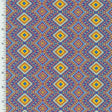 Printed Nylon Spandex Aztec Queen Swimwear