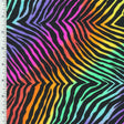 Printed Spandex Rainbow Zebra Swirl Swimwear