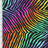 Printed Spandex Rainbow Zebra Swirl Swimwear