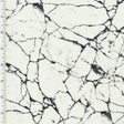 Nylon Spandex Husky Marble Wet Print