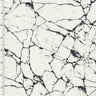 Nylon Spandex Husky Marble Wet Print