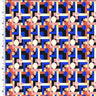 Printed Nylon Spandex Wet Print Tricot