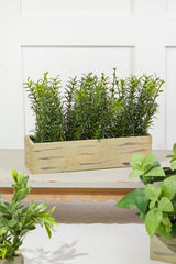 11 InchPlastic Herbs in Wooden Box Decorative Artificial Greenery Arrangement