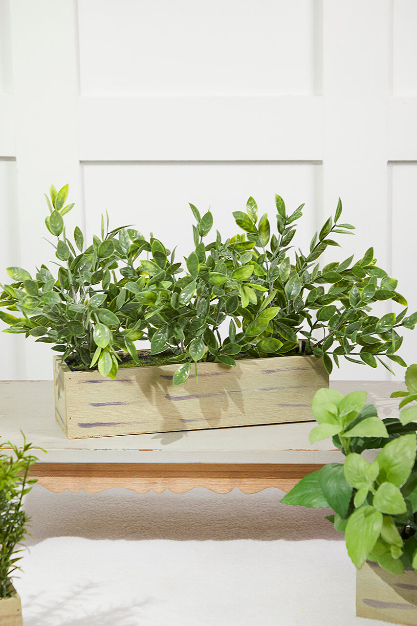 11" Plastic Herbs In Wooden Box