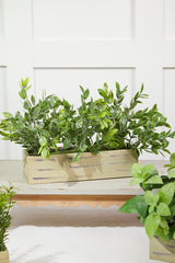 11" Plastic Herbs In Wooden Box
