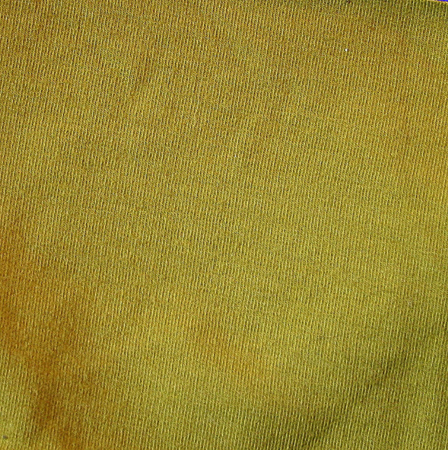Bamboo Organic Cotton Lycra French Terry Fabric - Sprout