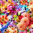 Printed Spandex Flower Skulls & Pegasus