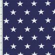 Printed Spandex Star Fabric
