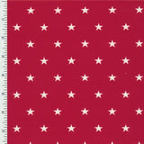 Star Printed Spandex Fabric