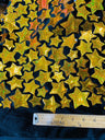 Star Sequin Velvet Fabric - Iridescent Star Sequin, Black Stretch Velvet, 58" Width (Sold By The Yard)