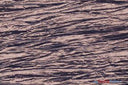 Crease Taffeta Crush Taffeta Polyester Fabric - Crushed Texture, 50/52" Width (Continuous Yards Or By Bolt)