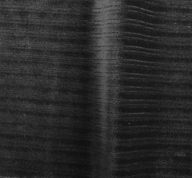 Steam Velour Drop Needle 8X3 Black Polyester Spandex Fabric - Black, 58/60" Width (1 Yard)
