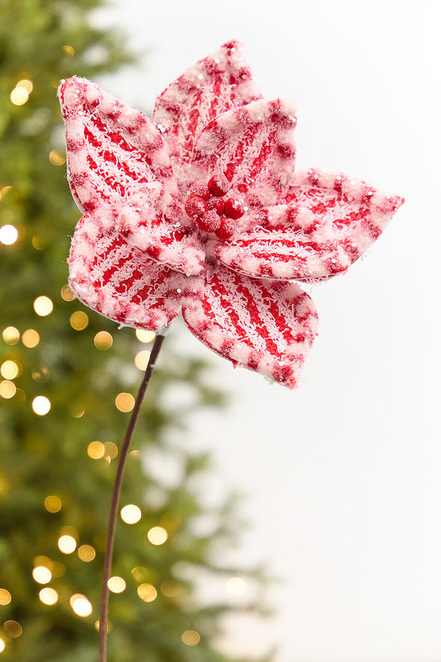 20" x 11" Red & White Poinsettia Stem