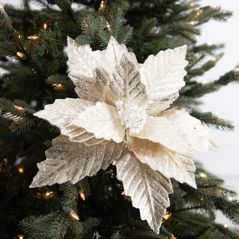 22” x 13" Champagne Metallic Poinsettia Stem