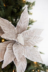 22” x 14.5" Taupe Sugar Poinsettia Stem