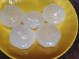 Tatka Frozen Palm