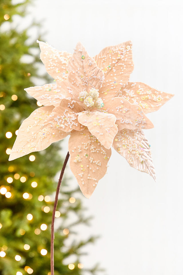 19" x 13.5" Taupe Poinsettia Stem