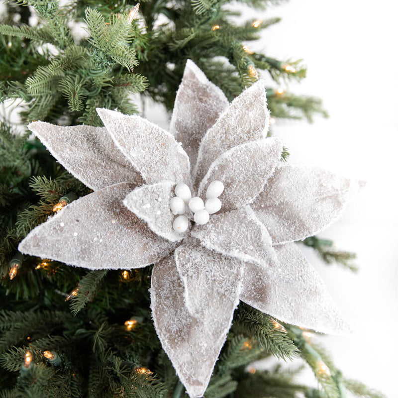 22” x 14" Sugar Poinsettia Flower