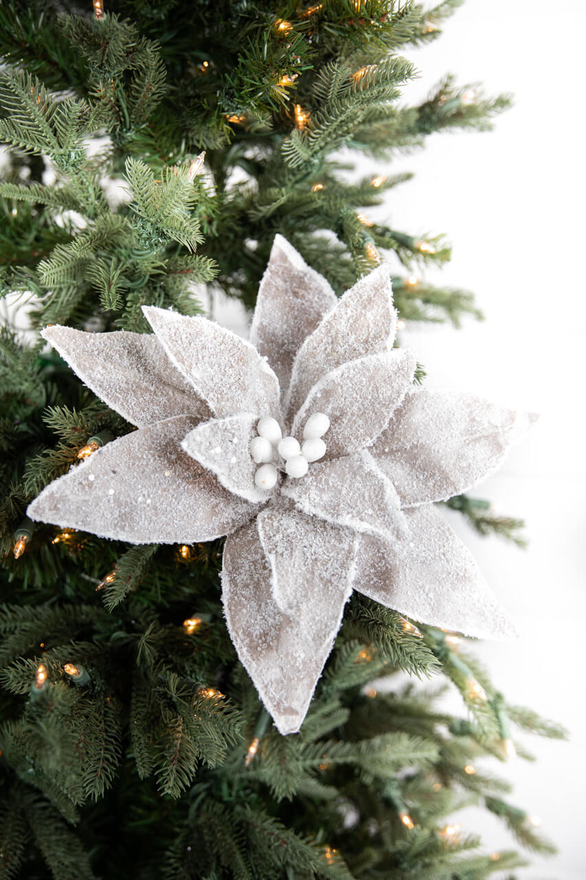 22” x 14" Sugar Poinsettia Flower