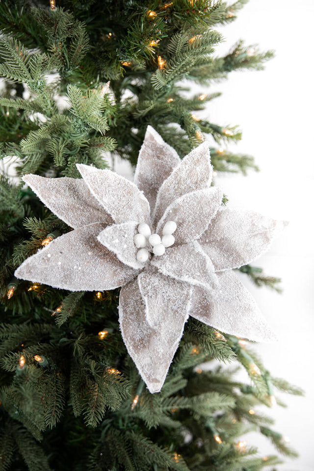 22” x 14" Sugar Poinsettia Flower