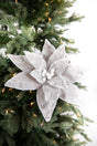 22” x 14" Sugar Poinsettia Flower