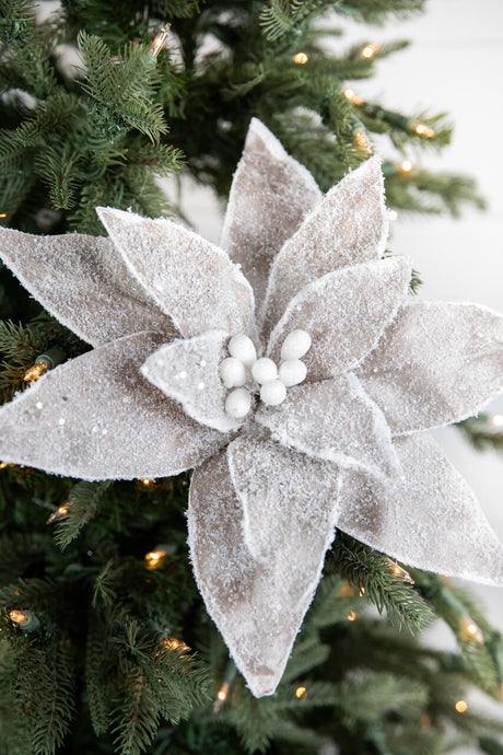 22” x 14" Sugar Poinsettia Flower