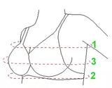 Professional Lingerie Dress Form Double Function with Legs - Size 2-10