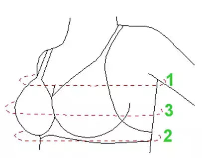 Professional Lingerie Dress Form Double Function with Legs - Size 2-10