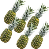 Trader Joe’s Pineapple 1 Each