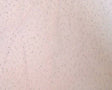 Tricot W/Dot Glitter Pink Nylon Fabric - Pink Glitter Dot, 58/60" Width (1 Yard)