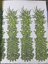 Vegas Beaded Feather Design Mesh Fabric - Beaded Feather Pattern, 50" Width (1 Panel)