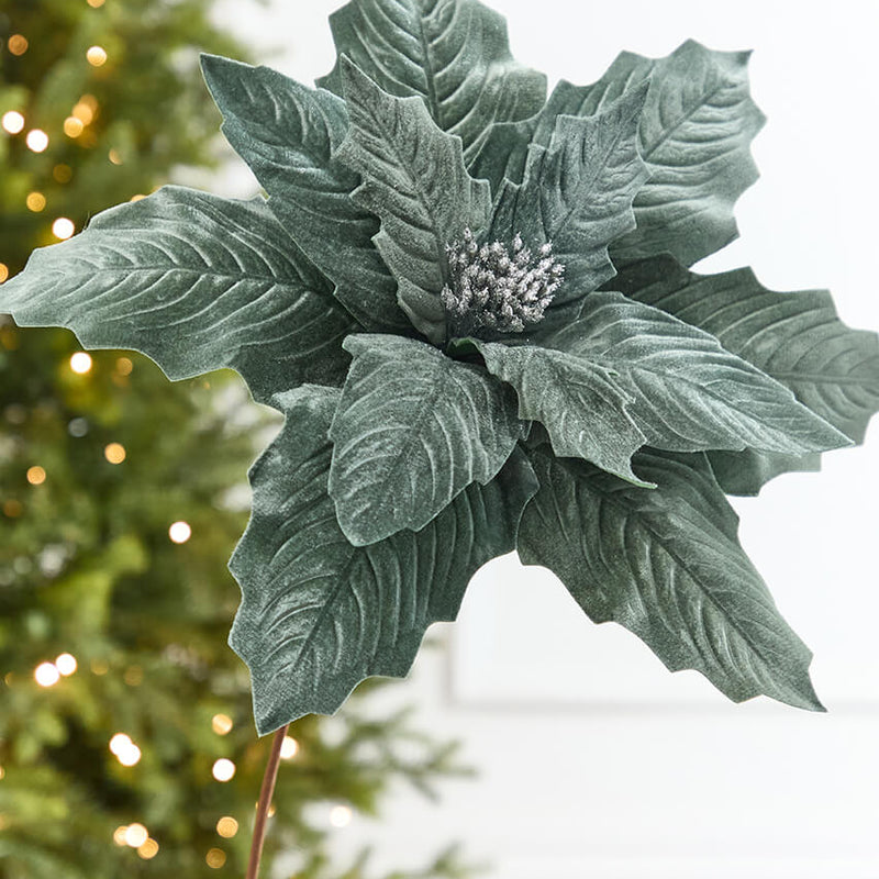 20" x 17" Giant Dusty Blue Poinsettia Stem