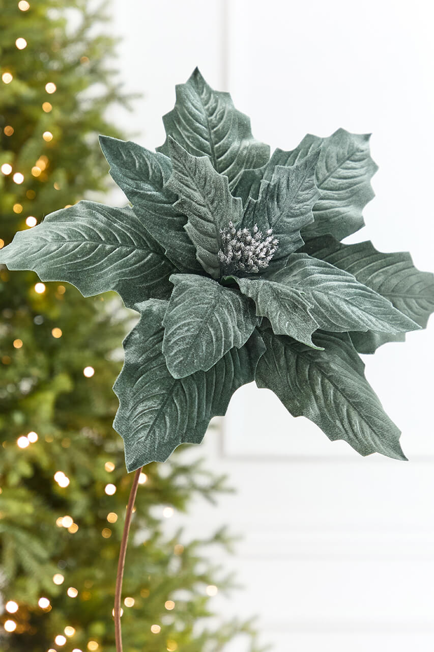 20" x 17" Giant Dusty Blue Poinsettia Stem