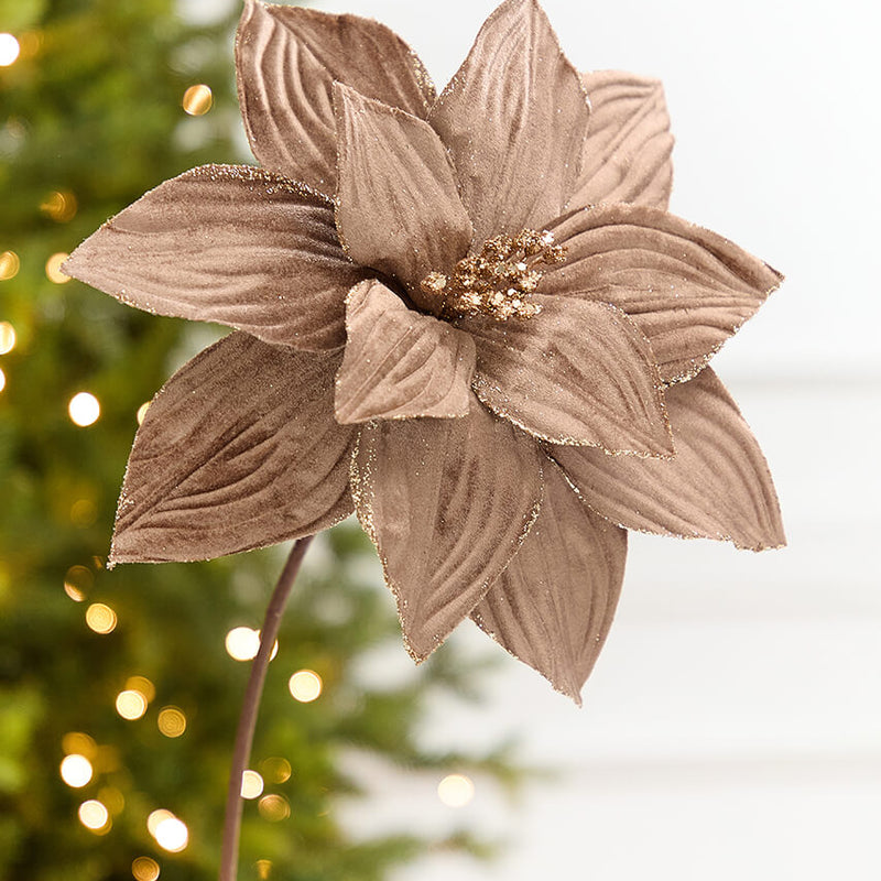 22" x 11.5" Light Brown Velvet Glitter Poinsettia Stem