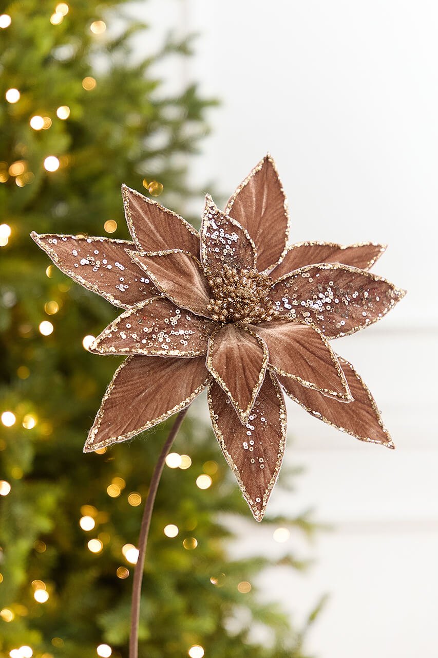 20" x 12" Brown Embellished Poinsettia Stem