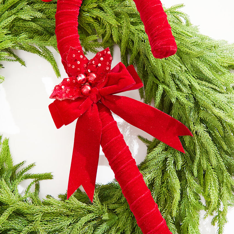 24" Red Velvet Candy Cane with Holly