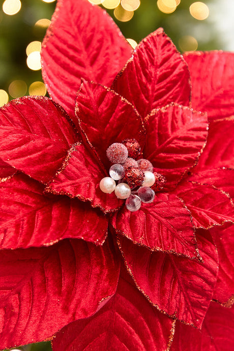 19" x 15" Red Velvet Jewel Poinsettia Stem