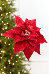 19" x 15" Red Velvet Jewel Poinsettia Stem